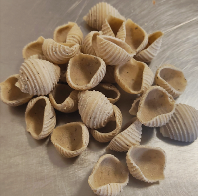 Conchiglie sèches au basilic