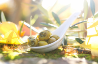 Olives vertes au fenouil