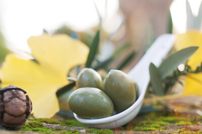 Olives vertes géantes ( cerignola)