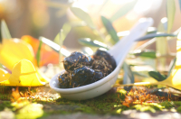 Olives noires à la tropézienne