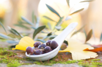 Olives coquillos herbes de provence