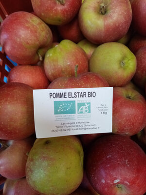 Pomme fuji bio 1 kg