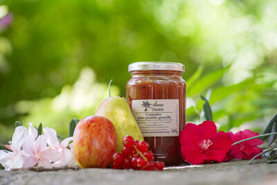 Compote pomme poire groseille