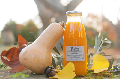 Velouté de butternut