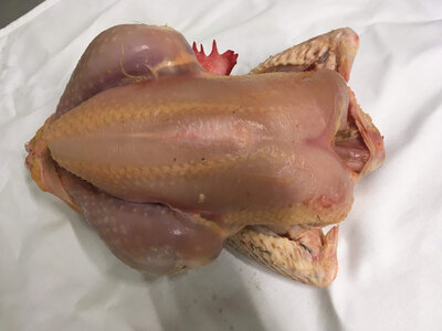 Poulet à rôtir