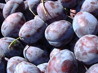 Prunes d'ente en 1kg