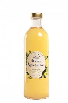 Kombucha menthe - piment d'espelette