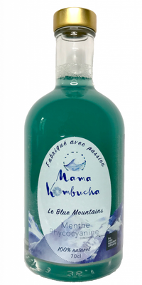 Kombucha menthe - spiruline