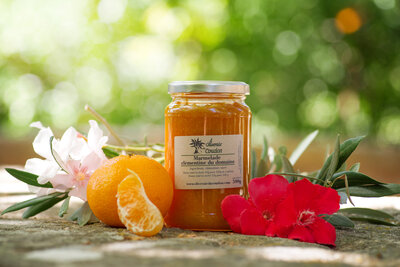 Marmelade de clémentine
