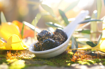 Olives noires hp star du coudon bio