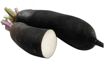 Radis noir