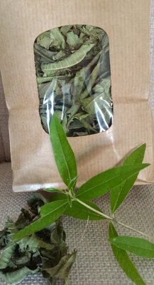 Infusion verveine citronnée