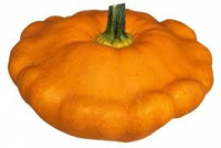 Patisson orangé bio