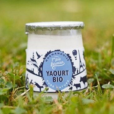 Yaourt bio pure nature 6 x 125g
