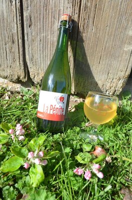 Cidre d'avrolles