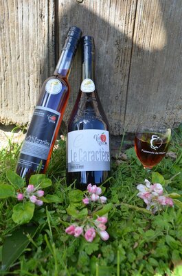 Pommeau du maine aoc