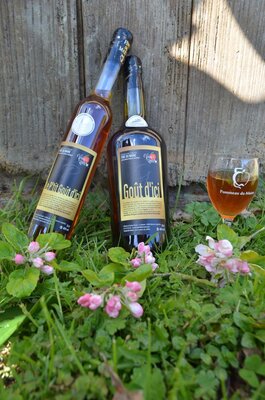 Fine du maine aoc