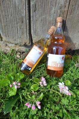 Vinaigre de cidre