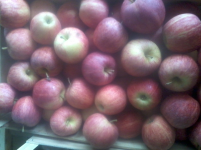 Pomme galaxy