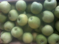 Pomme granny smith