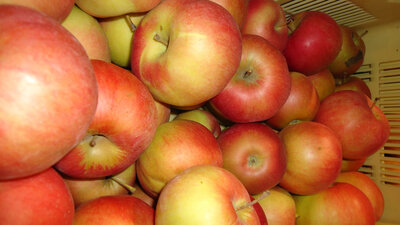 Pomme idared