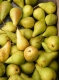 Poires petites