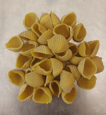Conchiglie sèches au curry bio