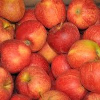 Pomme gala en 5kg economique