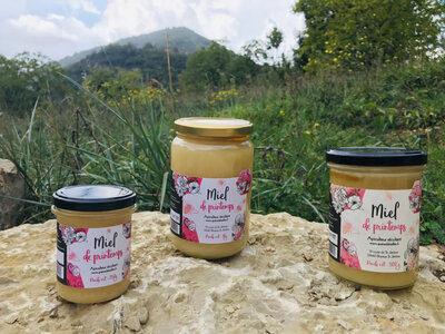 Miel de printemps