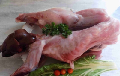 Lapin