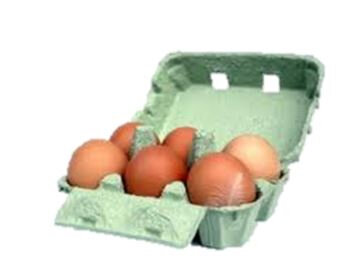 6 oeufs bio fermiers (moyens)