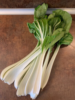 Choux chinois pak choi taisai branch
