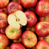 Pomme jonagored bio 1 kg