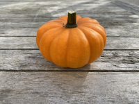 Pomarine ou jack be little