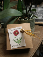 Quiétude boite 20 infusettes