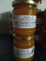 Miel toutes fleurs 250g