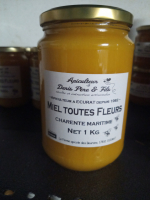 Miel toutes fleurs 1 kg