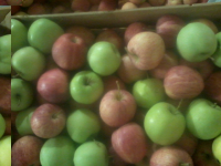 Baby 8kg pomme compote