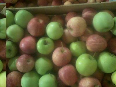 Baby 8kg pomme compote