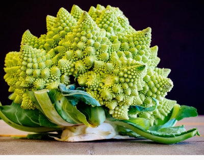 Petits choux romanesco
