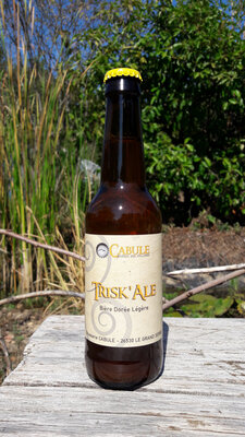 Trisk'ale 33cl