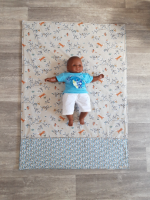 Couverture hiver renard