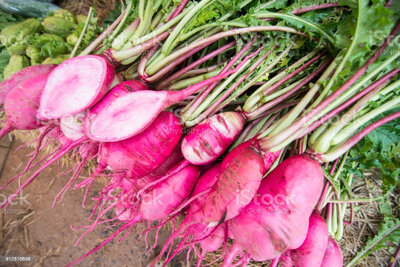 Gros radis rose