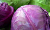 Chou rouge