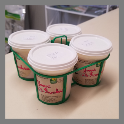 Lot de 4 yaourts à la framboise bio