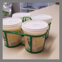 Lot de 4 yaourts au citron bio