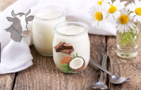 Vache-yaourt choco/coco
