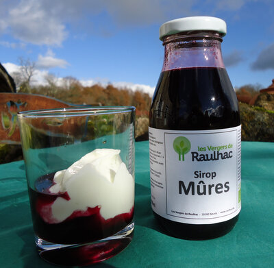 Sirop mûre - achat solidaire et bio