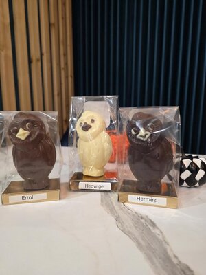 Hibou au chocolat