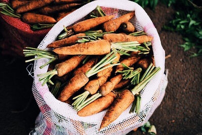 Filet de carottes 5kg